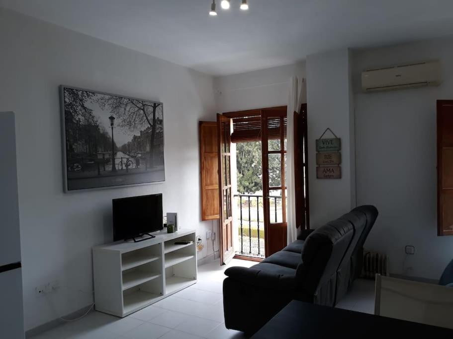 Apartment Don Fadrique Estudio *